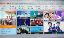 免费视频爱爱,带你走进情感世界的秘密花园